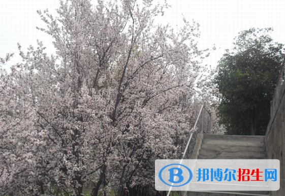 ?？德毥讨行膶W(xué)校網(wǎng)址網(wǎng)站