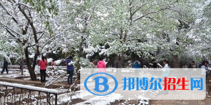 甘肅金城理工中等專業(yè)學(xué)校2020年招生錄取分數(shù)線
