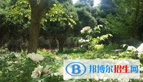 甘肅金城理工中等專(zhuān)業(yè)學(xué)校怎么樣、好不好