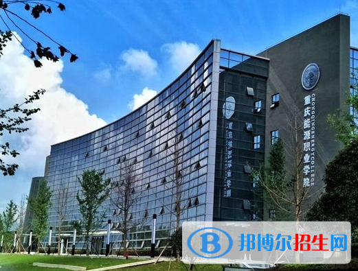 重慶能源職業(yè)學(xué)院網(wǎng)站網(wǎng)址