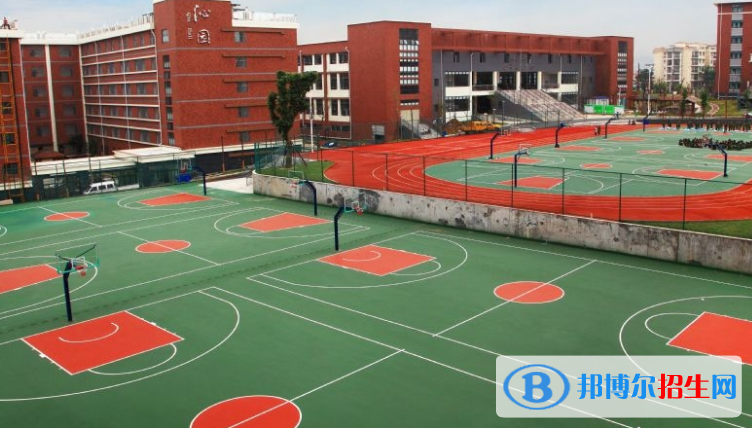 綿陽東辰國際學校高中部