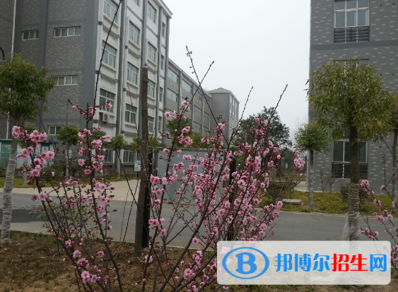 許昌工商管理學(xué)校2021年報(bào)名條件、招生要求、招生對(duì)象