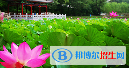 北京第一〇一中學(xué)國際高中部