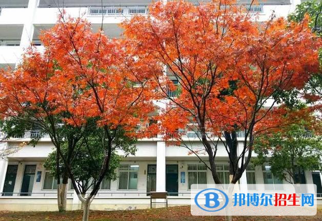 奉化職教中心學(xué)校2020年招生辦聯(lián)系電話