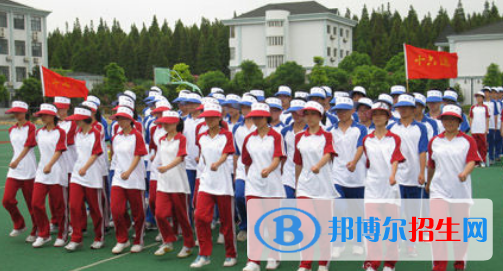 新虹橋中學國際部