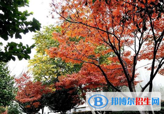 建德千島交通職業(yè)學(xué)校怎么樣、好不好