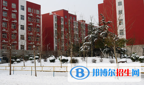 洛陽華洋國際學(xué)校怎么樣、好不好