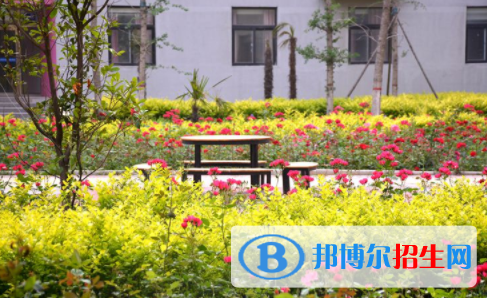 河南師大附中雙語(yǔ)國(guó)際學(xué)校2020年報(bào)名條件、招生要求、招生對(duì)象