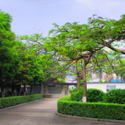 湛江湛港職業(yè)技術學校