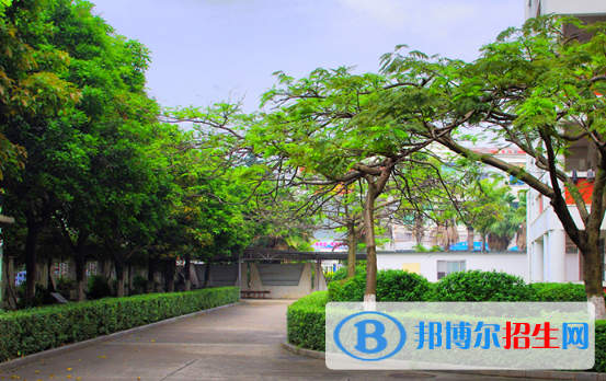 湛江湛港職業(yè)技術(shù)學(xué)校2020年報(bào)名條件、招生要求、招生對(duì)象