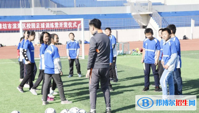 濰坊濱海國際學校2020年學費、收費多少