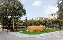 常州2020年中專鐵路學(xué)?？梢钥即髮? width=