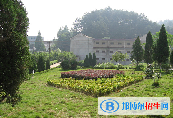 安徽行知學(xué)校怎么樣、好不好