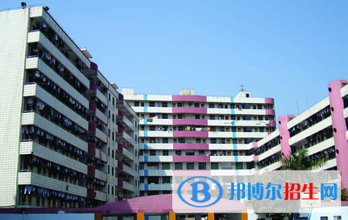 湛江2020年初中生可以讀哪些汽修學校