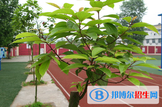 天問(wèn)國(guó)際高中校長(zhǎng)2020年報(bào)名條件、招生要求、招生對(duì)象