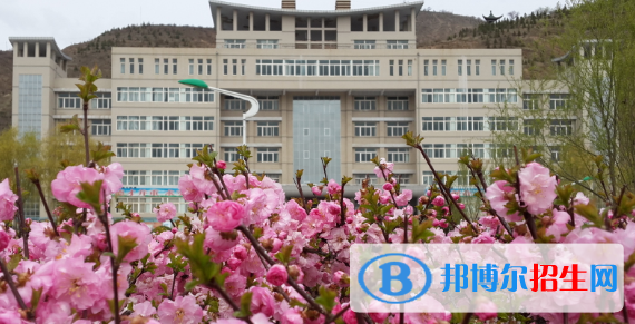 定西師范高等?？茖W校單招2020年單獨招生成績查詢、網(wǎng)址入口   