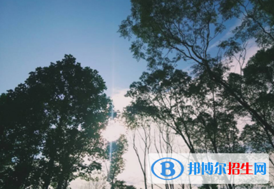 宜春幼兒師范高等專科學(xué)校單招2020年單獨(dú)招生報(bào)名時(shí)間、網(wǎng)址入口