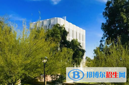 上海金蘋果雙語學(xué)校國際部2023年報名條件、招生要求、招生對象