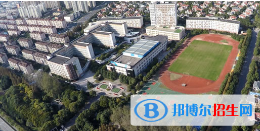 上海金蘋果雙語學(xué)校國際部怎么樣、好不好
