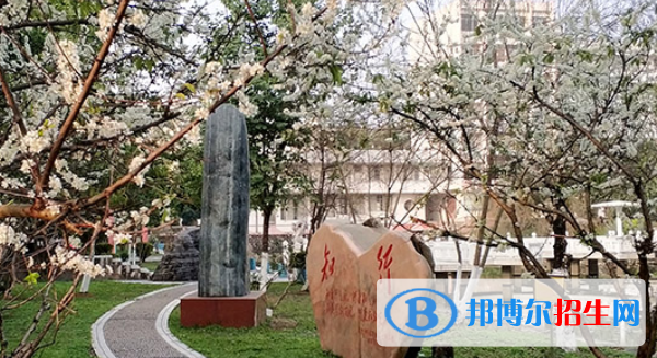廣西農(nóng)業(yè)職業(yè)技術學院是幾專