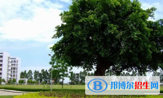廣東女子職業(yè)技術(shù)學院2020年報名條件、招生要求、招生對象