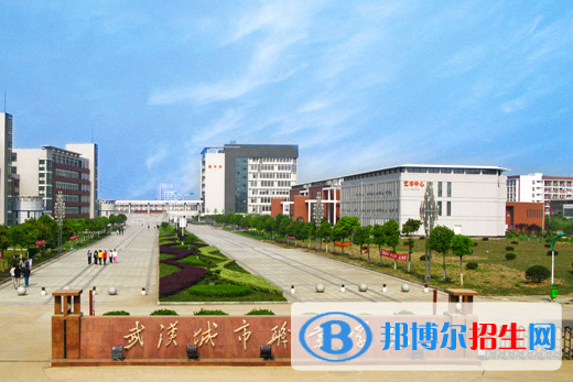 武漢城市職業(yè)學院5