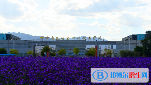 甘肅有色冶金職業(yè)技術(shù)學院2020年招生簡章