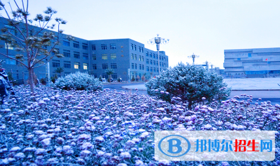 甘肅有色冶金職業(yè)技術(shù)學(xué)院2020年招生辦聯(lián)系電話