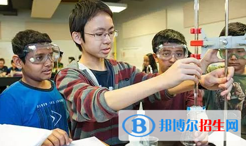 深圳貝賽思國際學(xué)校2023年招生計劃