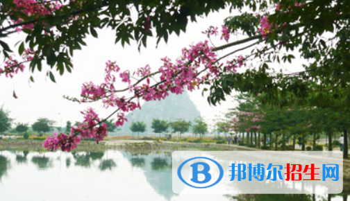 廣西經(jīng)濟(jì)職業(yè)學(xué)院五年制大專2020年招生辦聯(lián)系電話