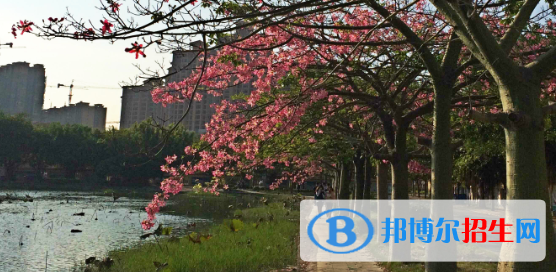 廣西經濟職業(yè)學院五年制大專怎么樣、好不好