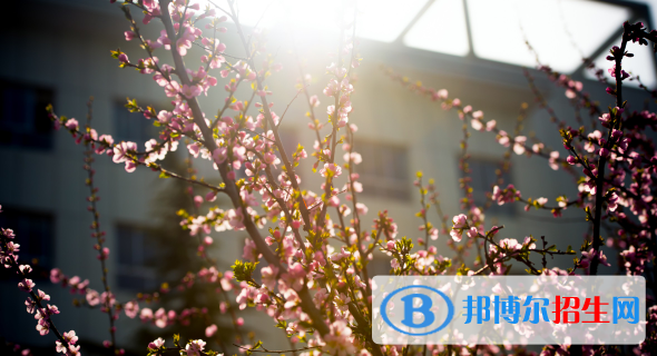 慶陽(yáng)職業(yè)技術(shù)學(xué)院2020年報(bào)名條件、招生要求、招生對(duì)象