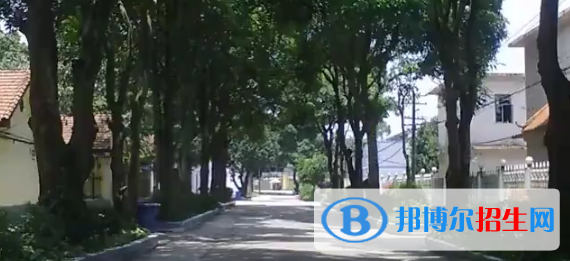 廣西衛(wèi)生職業(yè)技術(shù)學(xué)院2020年報(bào)名條件、招生要求、招生對(duì)象