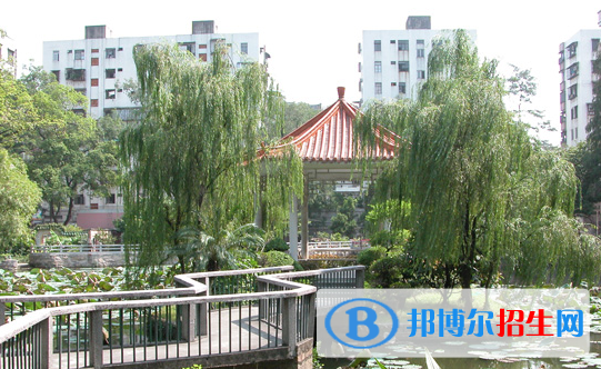 廣雅中學(xué)博雅國(guó)際班2020年招生計(jì)劃