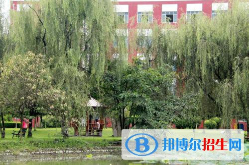 四川托普信息技術(shù)職業(yè)學(xué)院2020年報(bào)名條件、招生要求、招生對象