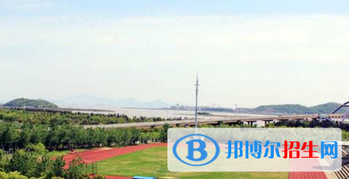 浙江國際海運職業(yè)技術(shù)學(xué)院2020年有哪些專業(yè)