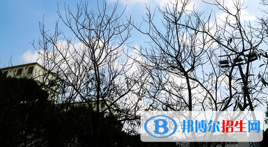 廣西輕工技師學(xué)院怎么樣、好不好