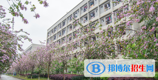柳州2020年有哪些大專(zhuān)學(xué)校有鐵路學(xué)校專(zhuān)業(yè)