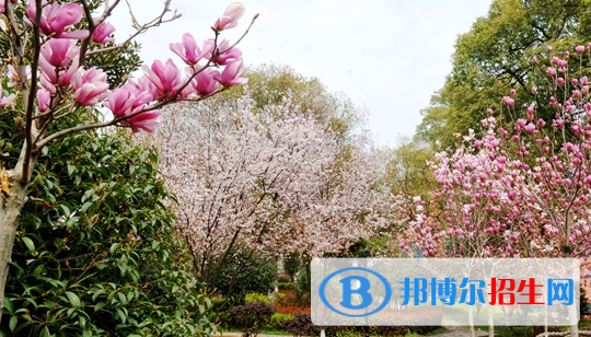 江西生物科技職業(yè)學(xué)院2020年有哪些專(zhuān)業(yè)