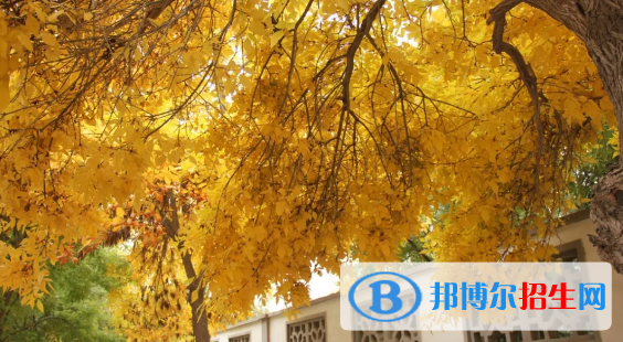 甘肅畜牧工程職業(yè)技術(shù)學(xué)院是幾專