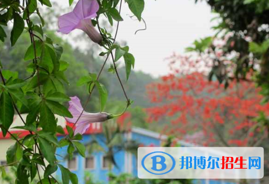 廣東理工職業(yè)技術(shù)學(xué)校怎么樣、好不好