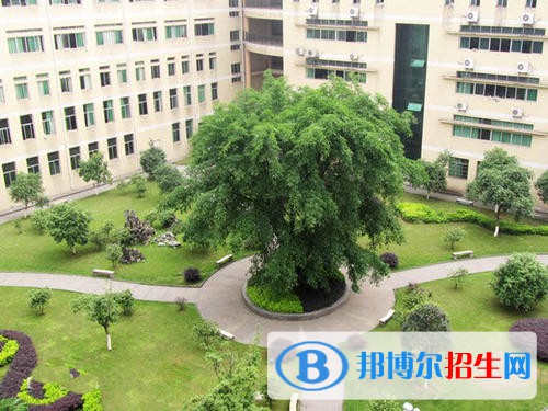 四川化工職業(yè)技術(shù)學(xué)院招生代碼