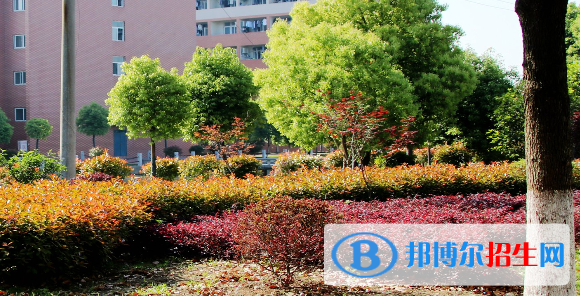 安徽明星科技中專學(xué)校網(wǎng)站網(wǎng)址