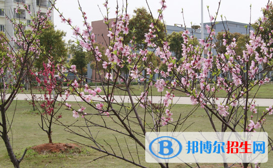 江西科技職業(yè)學(xué)院2020年報(bào)名條件、招生要求、招生對(duì)象