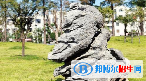 安徽省農(nóng)業(yè)廣播電視學(xué)校2020年招生簡章