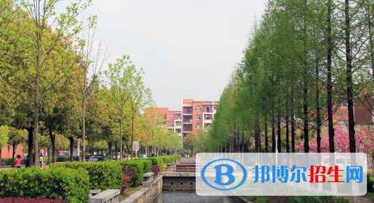 安徽新華學(xué)校2020年報名條件、招生要求、招生對象