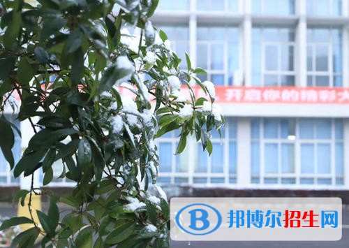 德陽科貿(mào)職業(yè)學院五年制大專2020年報名條件