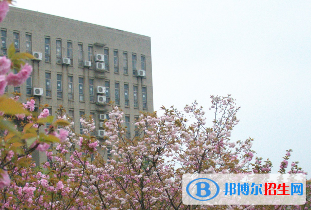 武昌職業(yè)學(xué)院2