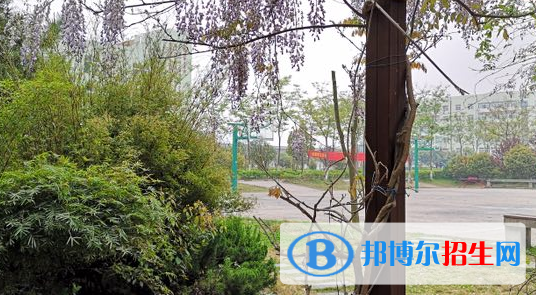 合肥騰飛學校地址在哪里