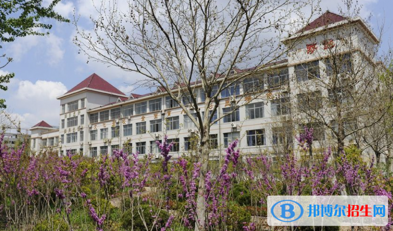 濰坊高新國際學(xué)校2020年招生簡章
